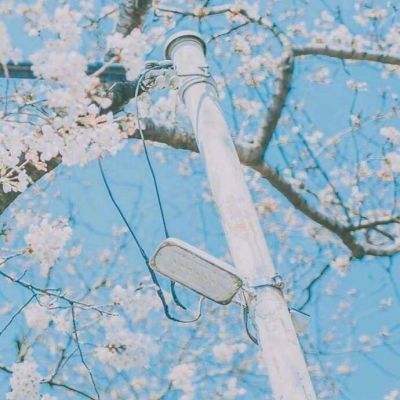 剑侠风云单职业无限元宝版下载